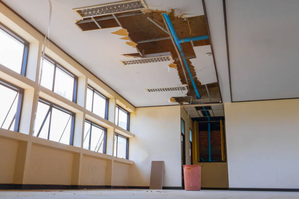 Best Residential water damage restoration  in Lake In The Hls, IL