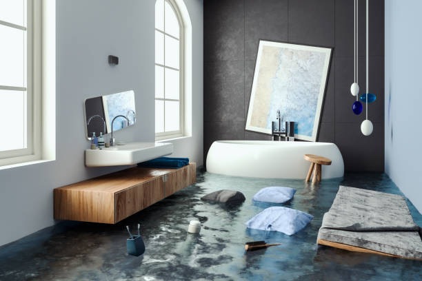 Best Water damage restoration experts  in Lake In The Hls, IL
