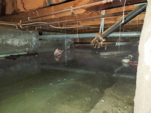 Best Flooded house restoration  in Lake In The Hls, IL