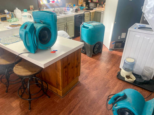 Best Water damage mitigation services  in Lake In The Hls, IL