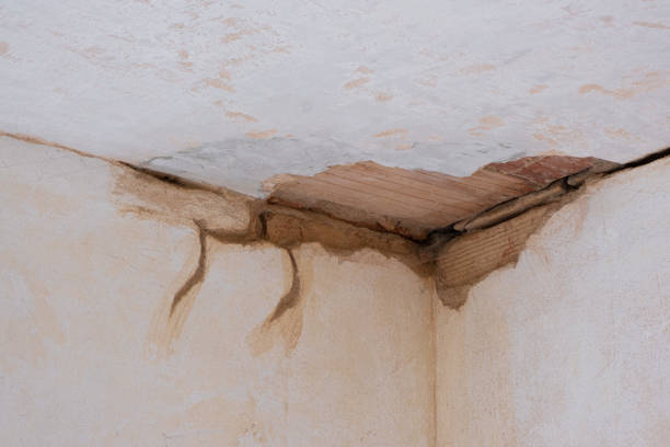 Best Water damage restoration near me  in Lake In The Hls, IL