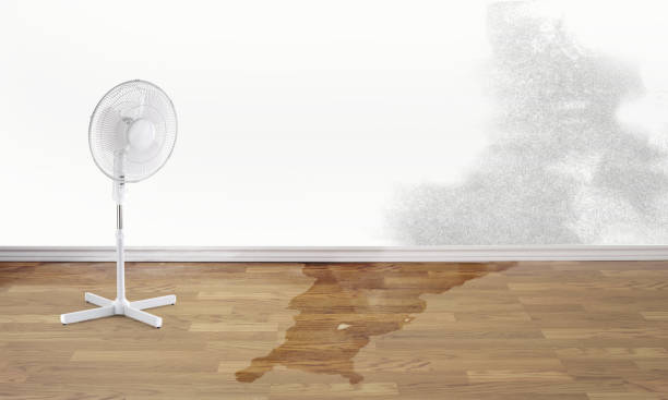 Best Water damage contractors near me  in Lake In The Hls, IL