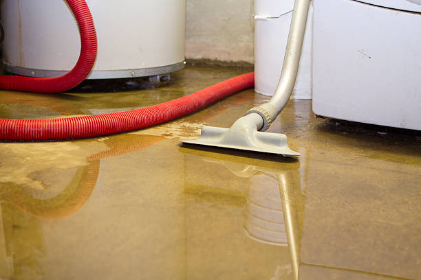 Best Ceiling water damage repair  in Lake In The Hls, IL