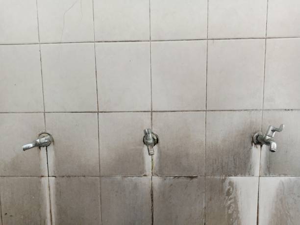 Best Commercial water damage restoration  in Lake In The Hls, IL