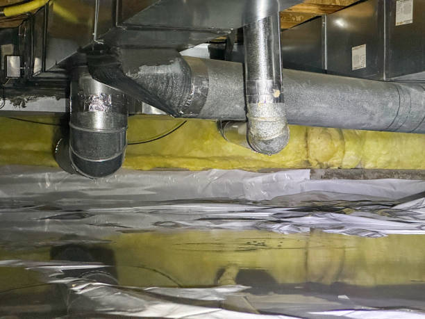 Best Carpet water damage restoration  in Lake In The Hls, IL