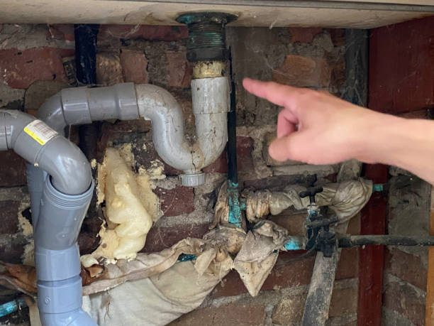 Best 24/7 water damage repair  in Lake In The Hls, IL