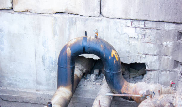 Best Basement water damage restoration  in Lake In The Hls, IL
