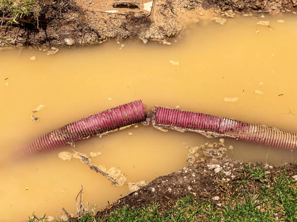 Best Local water damage restoration  in Lake In The Hls, IL