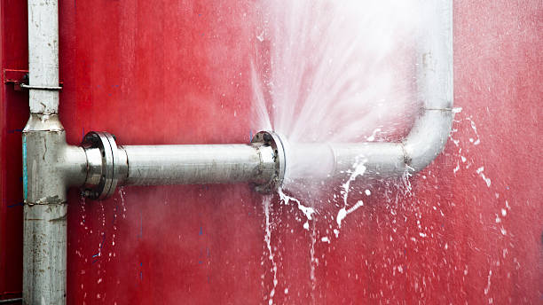 Carpet water damage restoration in IL